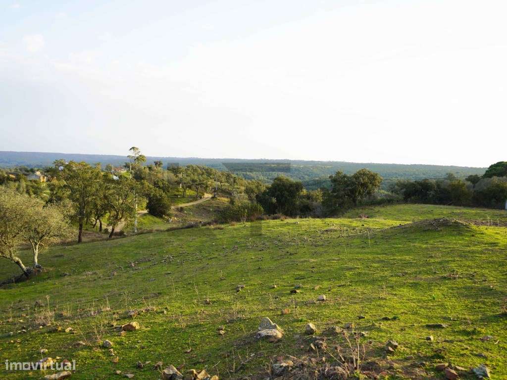 Terreno para Venda com 34 Hectares com Ruina na Serra de Grândola /...-13