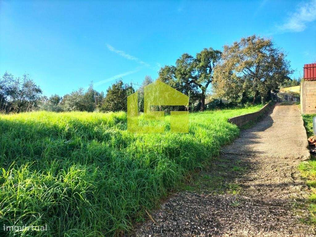 Terreno com projeto aprovado para armazém - Grande imagem: 4/15