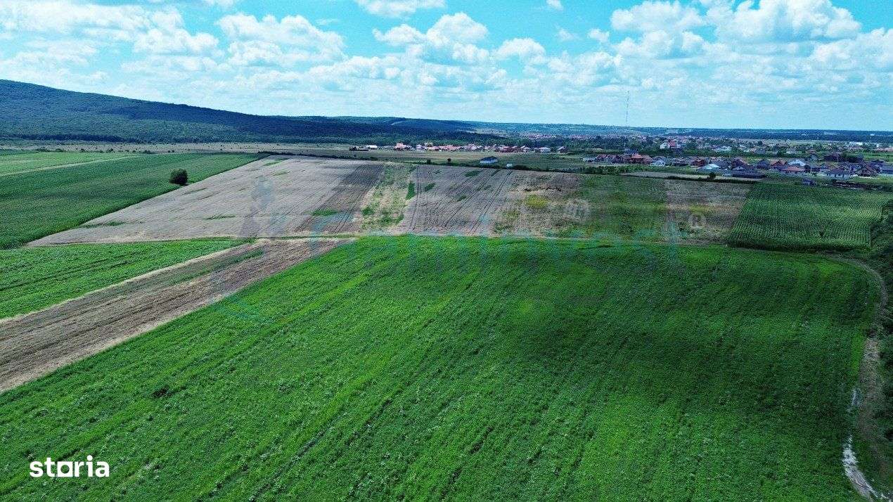 Gaminvest-Teren de vanzare, Rontau, Bihor V3726 - Imagine principală: 2/5