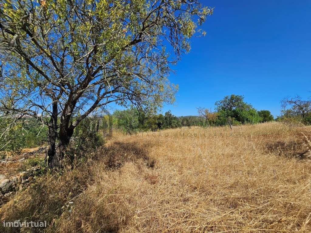 Casa com herdade de 30 mil m2 a sul de Loulé com enorme potencial-14