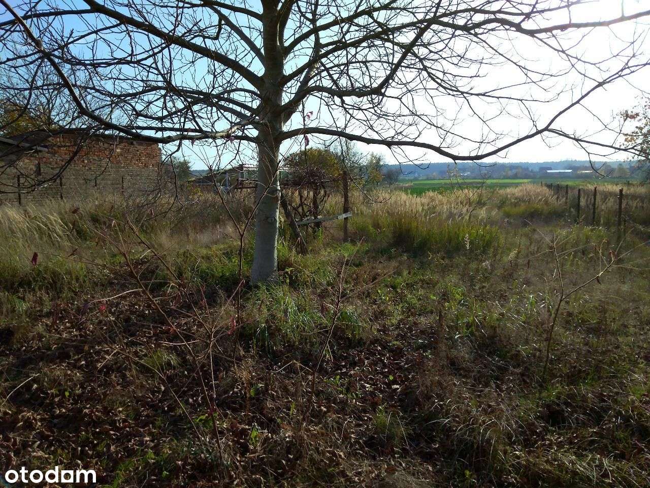 Działka z potencjałem – 2201 m² – Boleszkowice-2