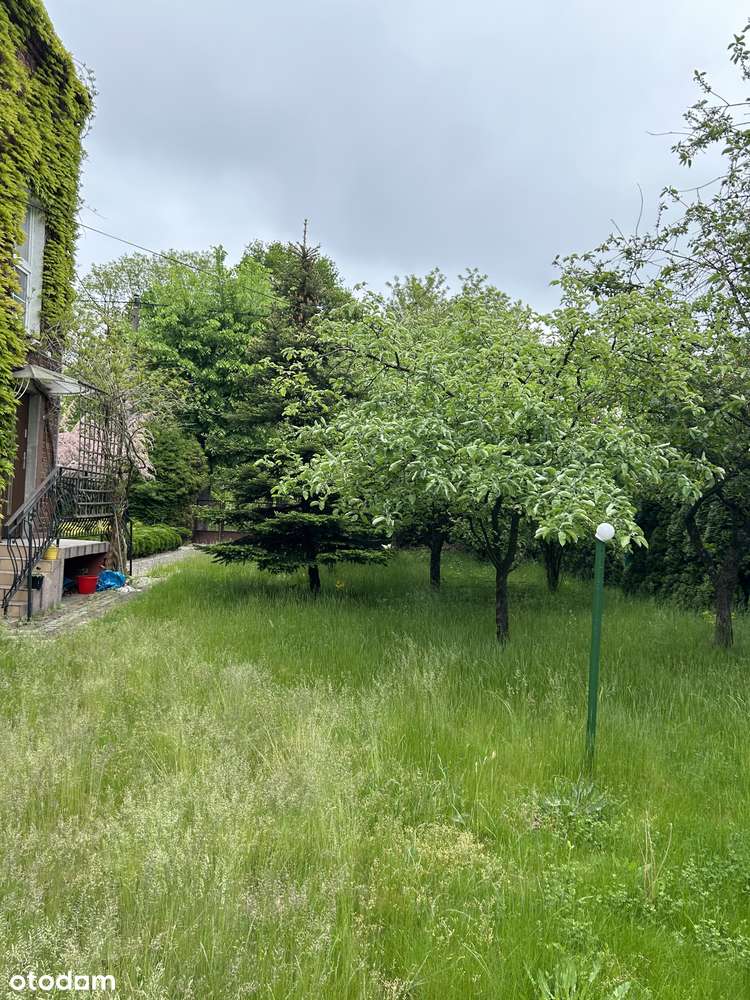 Wynajmę przestronny, zadbany dom 140 m² z ogrodem – Bełchatów - Pełny obrazek: 4/20