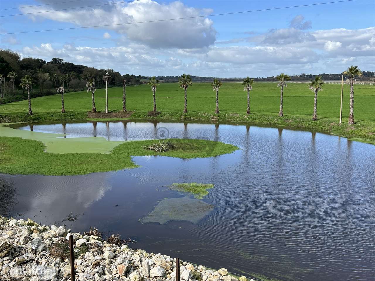 Terreno Para Construção  Venda em Biscainho,Coruche-6
