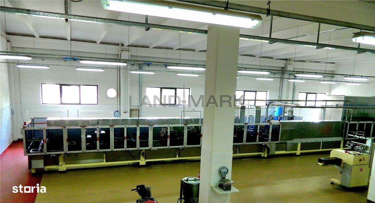 Hala industriala, 1600 mp cu teren 6500 mp , Timisoara Nord Vest-5