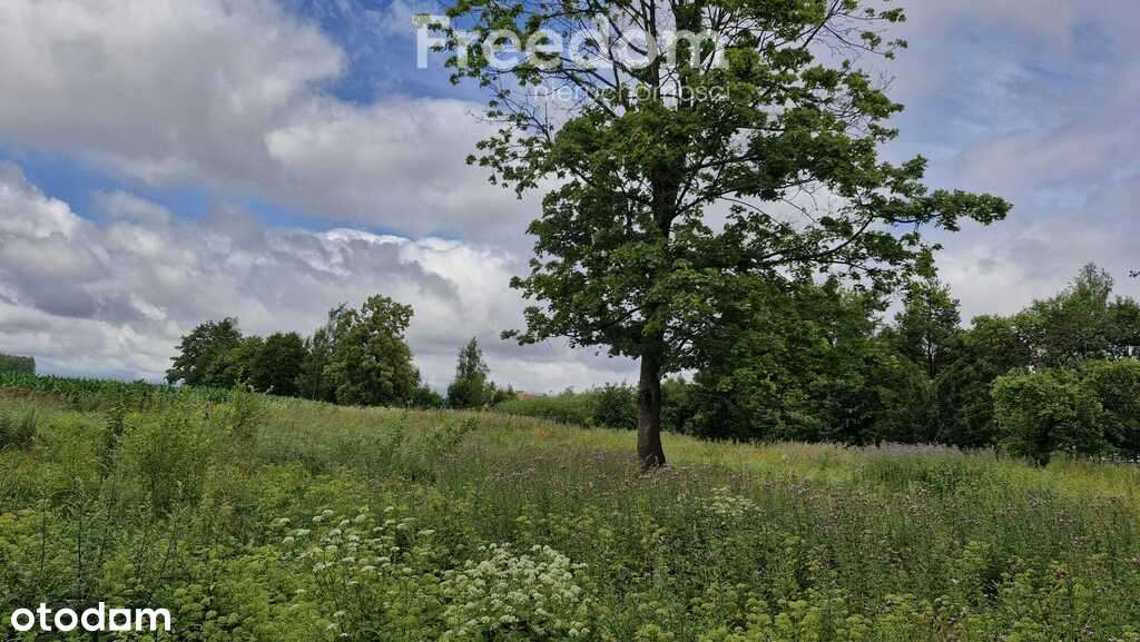 Atrakcyjne działki budowlane na Warmii i Mazurach - Pełny obrazek: 4/10