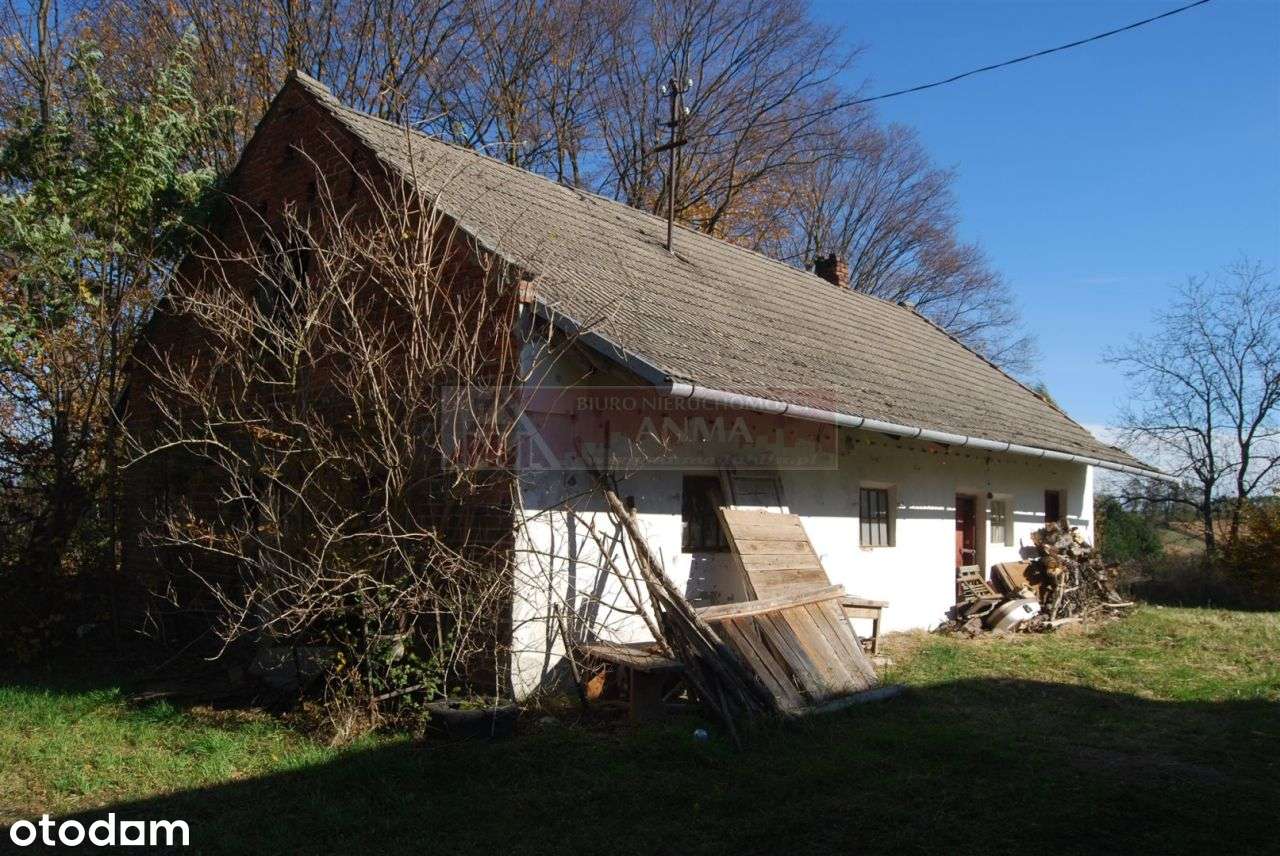 Siedlisko w cichej i spojnej okolicy-5