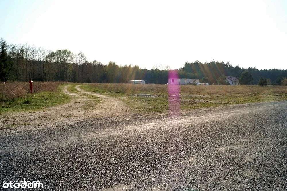 Działka budowlana w lesie / Niemojewo / MPZP zabudowa jednorodzinna - Pełny obrazek: 4/7