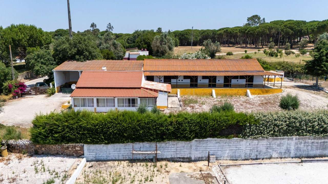 Quinta Equestre a 45 minutos de Lisboa-7