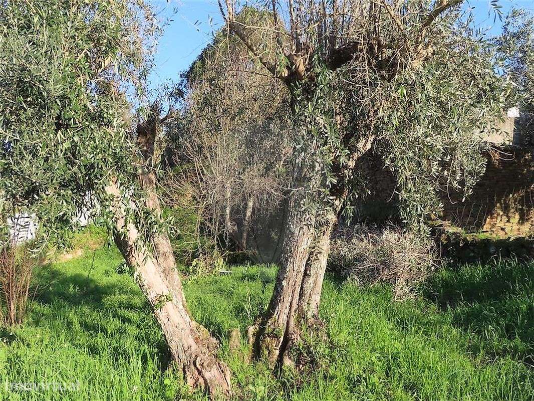 Moradia T3 para venda-27