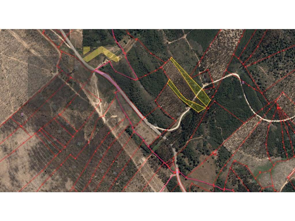 2 Terrenos rústicos com um total de 6400m2 de fácil acesso - Grande imagem: 4/4