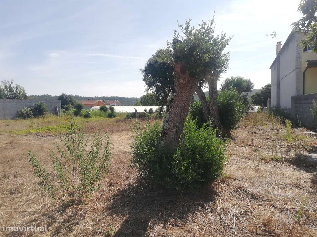 Terreno Ortigosa - Grande imagem: 4/5