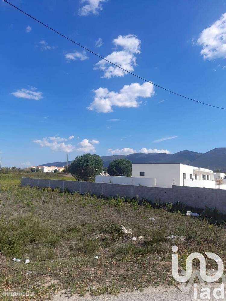 Terreno Agrícola em Aljubarrota - Grande imagem: 4/5