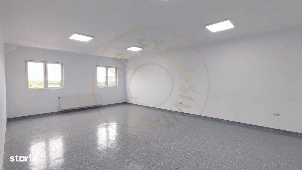 Inchiriere Spatii de Birouri/Productie - Str. Uzinei - Carei - Comisio - Imagine principală: 4/19