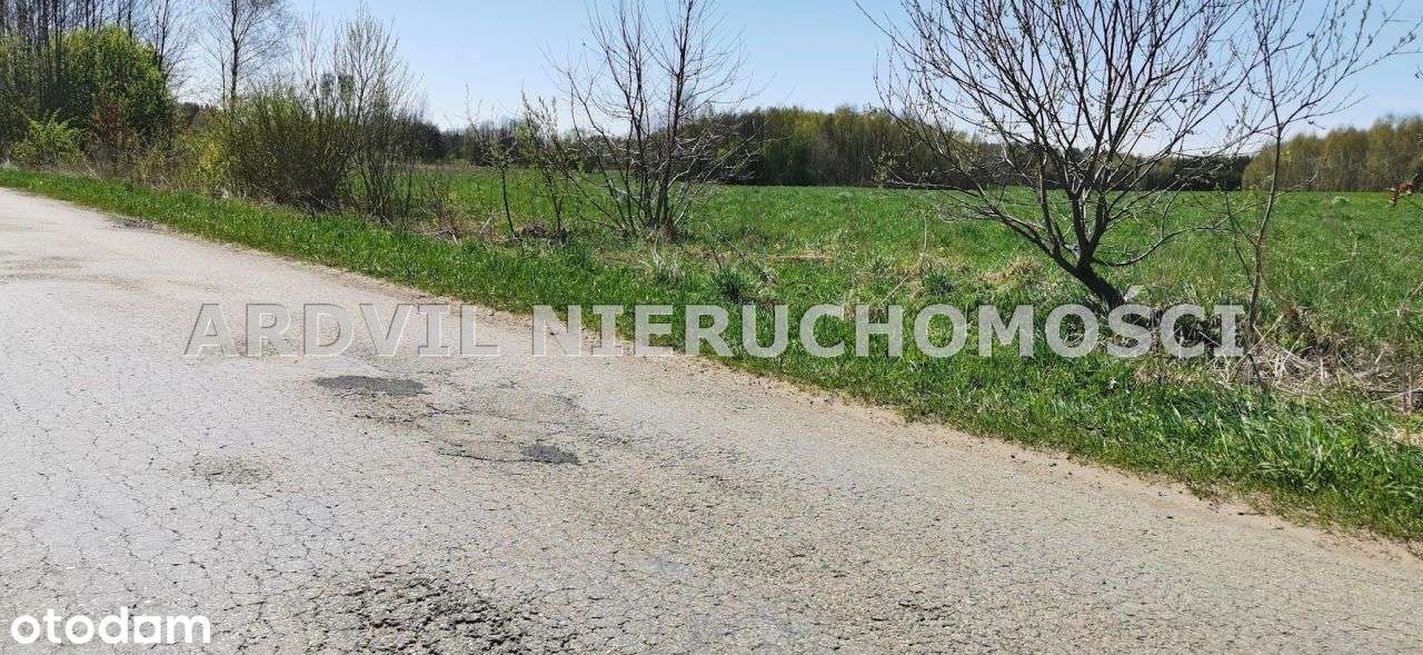 Ładna, kształtna działka z warunkami - Pełny obrazek: 5/5