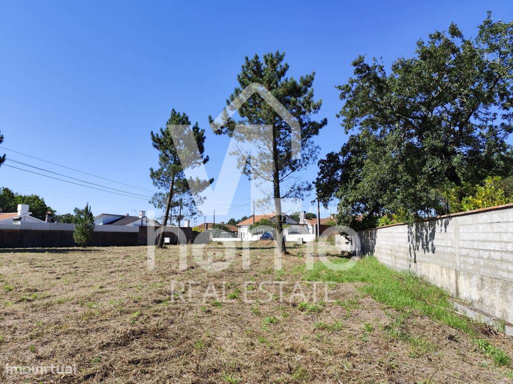 Invista no Futuro: Terreno com Potencial de Urbanização na Pocariça...-11