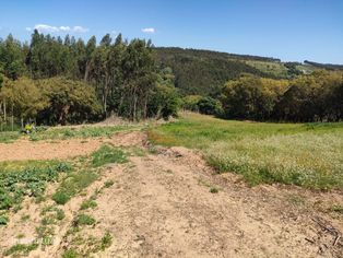 Terreno urbanizável com 3.780 m2 - Óbidos