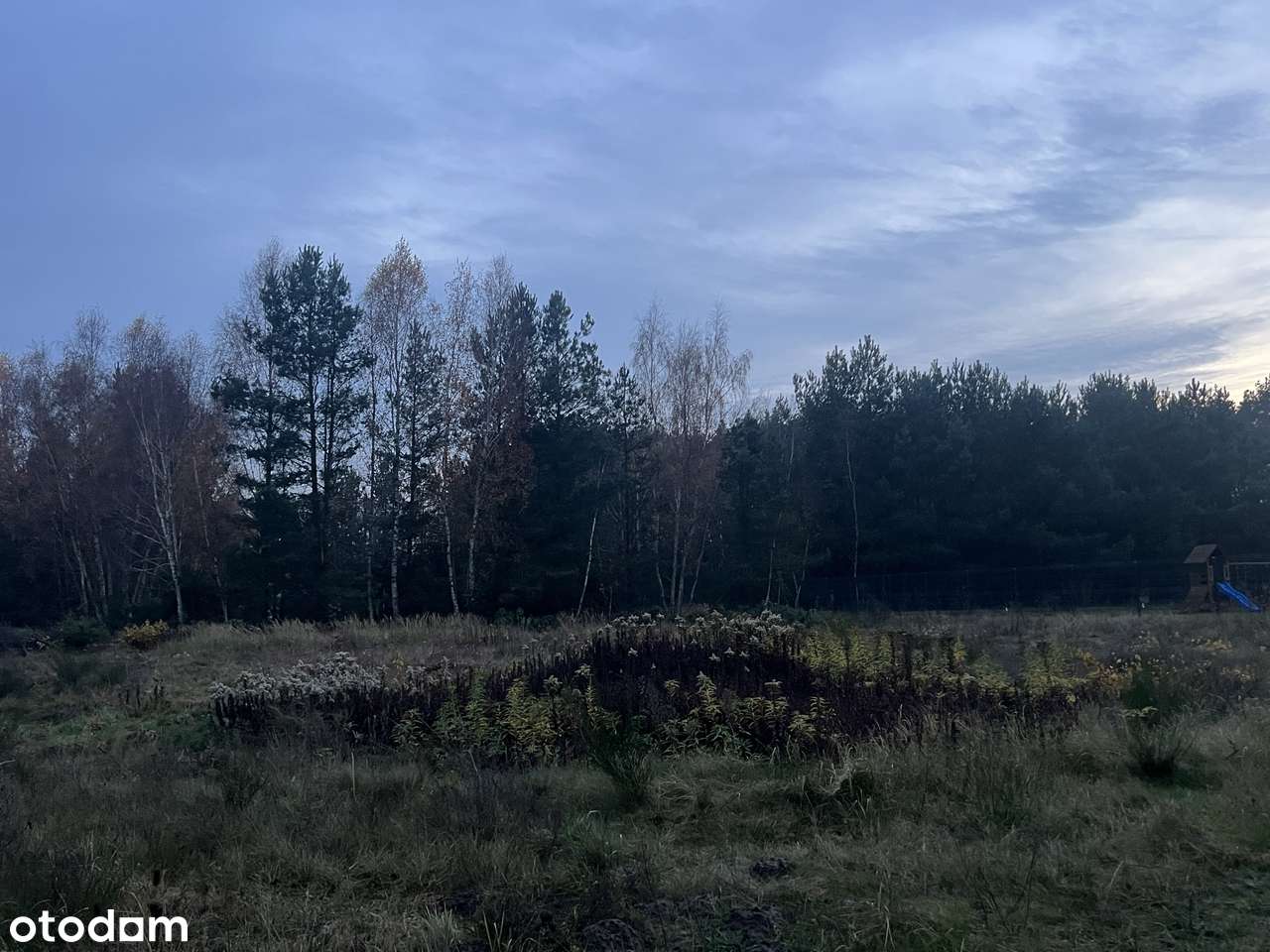 Działka budowlana 1503 m² w Niwach, gmina Osielsko - Pełny obrazek: 1/2