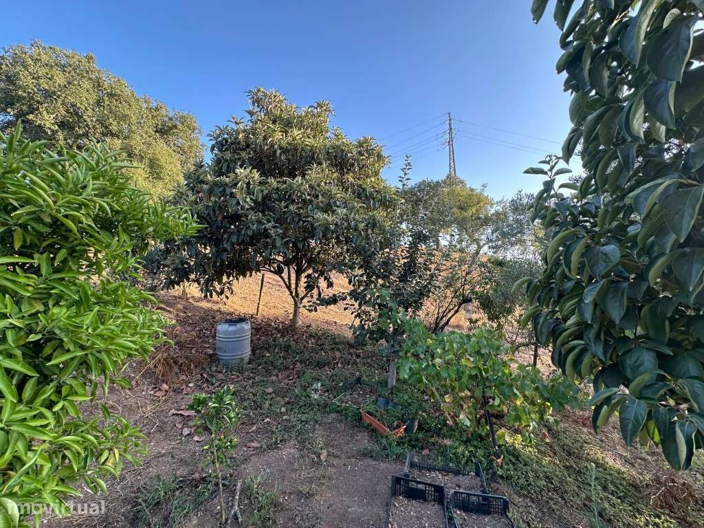 Monte Alentejano com 3,4 ha de natureza e potencial turístico-35