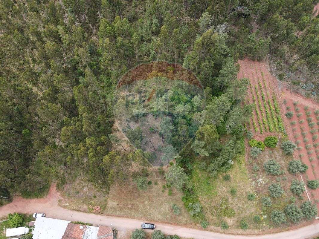 Terreno  para venda - Grande imagem: 4/6