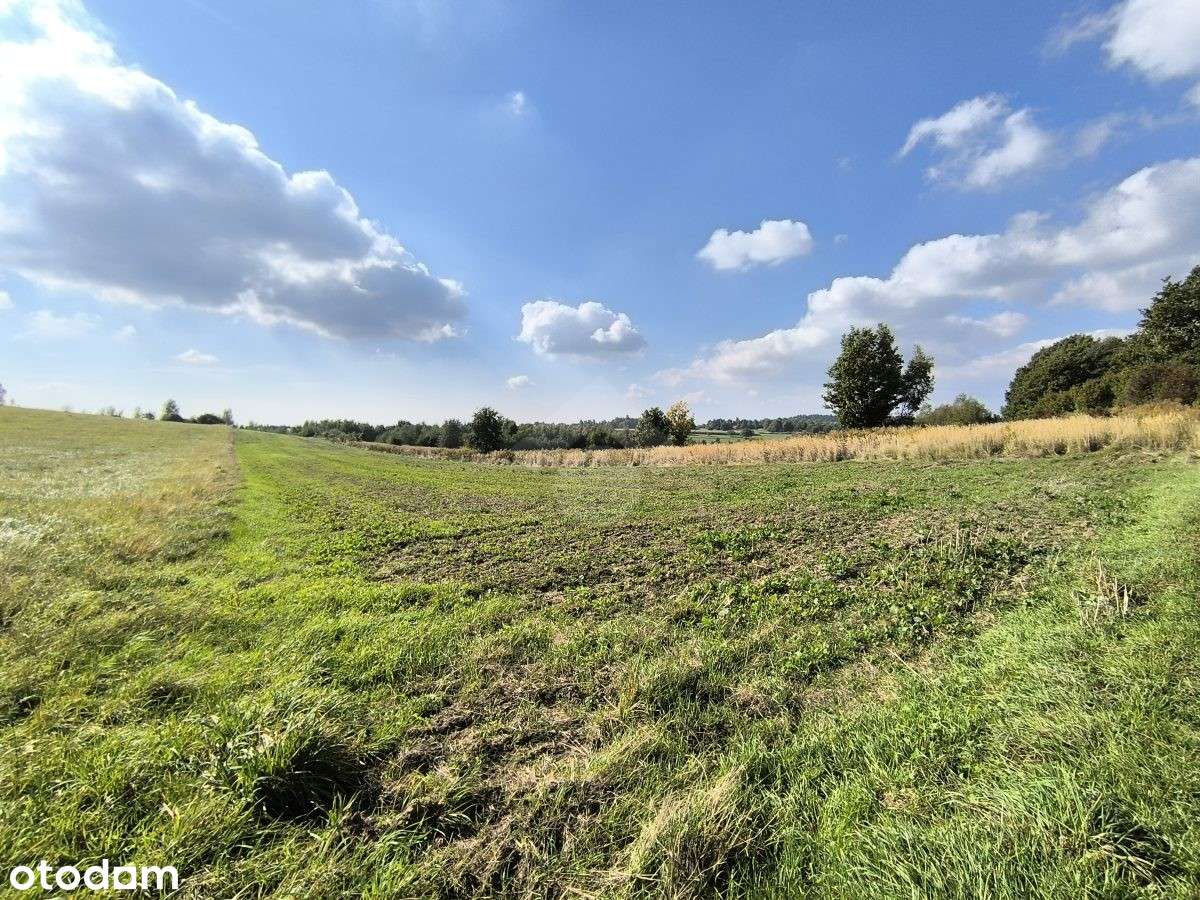 Działka z przeznaczeniem rolnym oraz terenami zielonymi - Pełny obrazek: 4/6