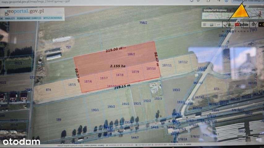 Działki Usługowe przy S5 - Pełny obrazek: 3/19