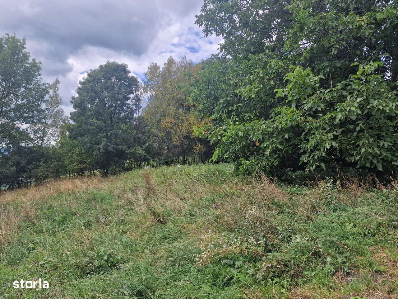 Teren intravilan Comarnic/ priveliște superba-9