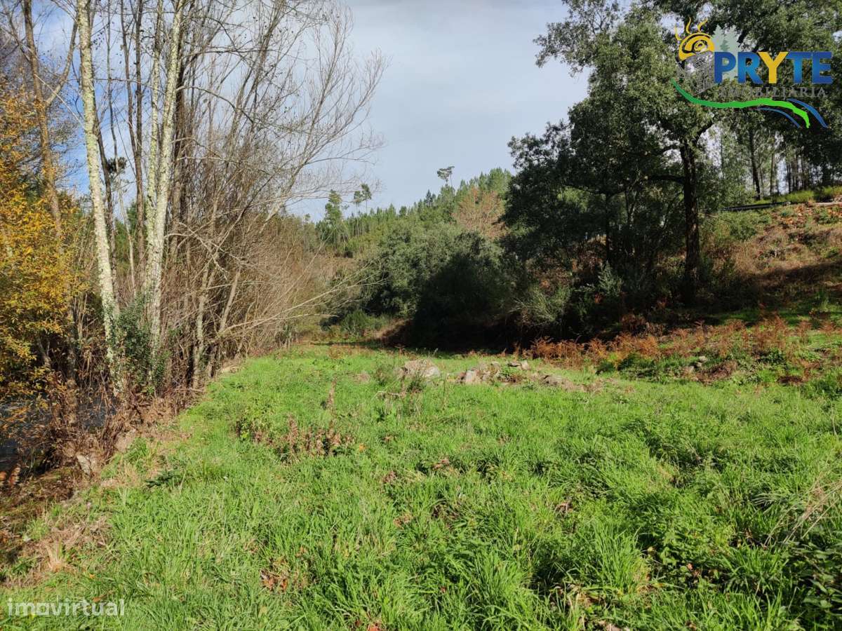 Ruína a confinar com Ribeira-16