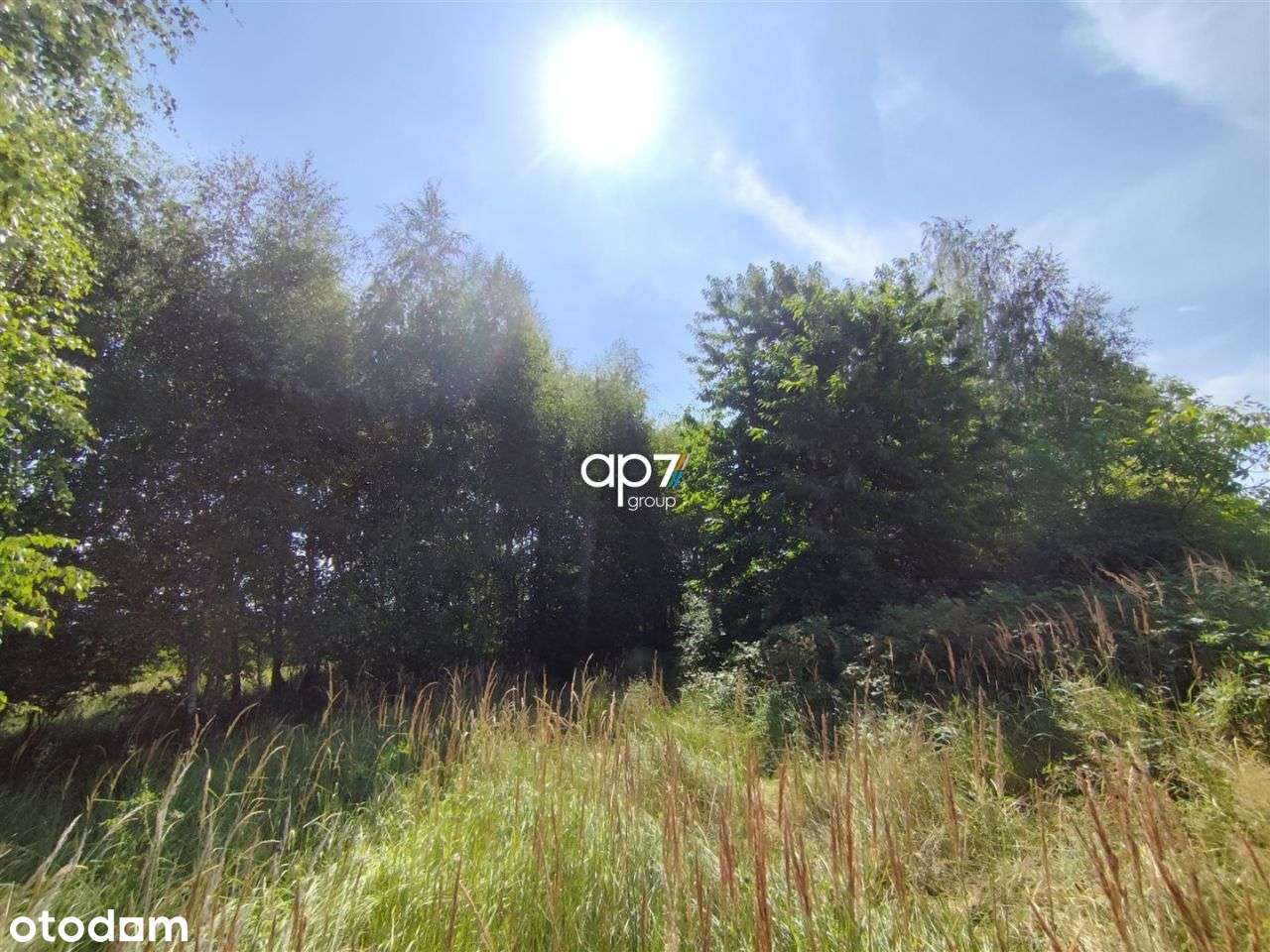 Działka, 5 700 m², Bodzanów-3