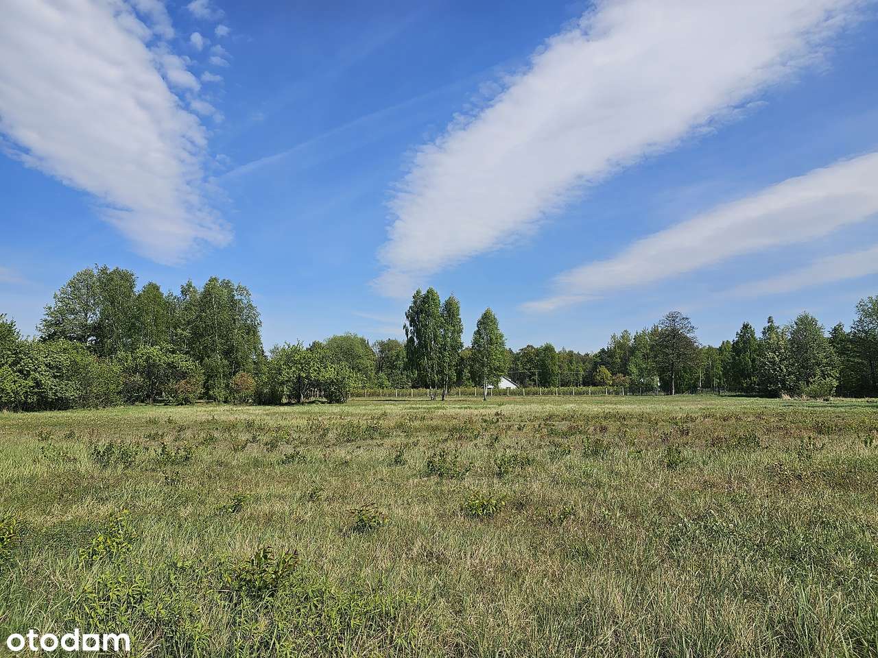 Piękne działki. Uchwalony plan. Obok szkoły, przystanku. Cisza, zieleń-9