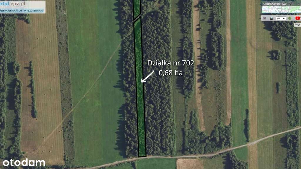 Dwie działki: rolna i leśna - Sojczyn Grądowy-2