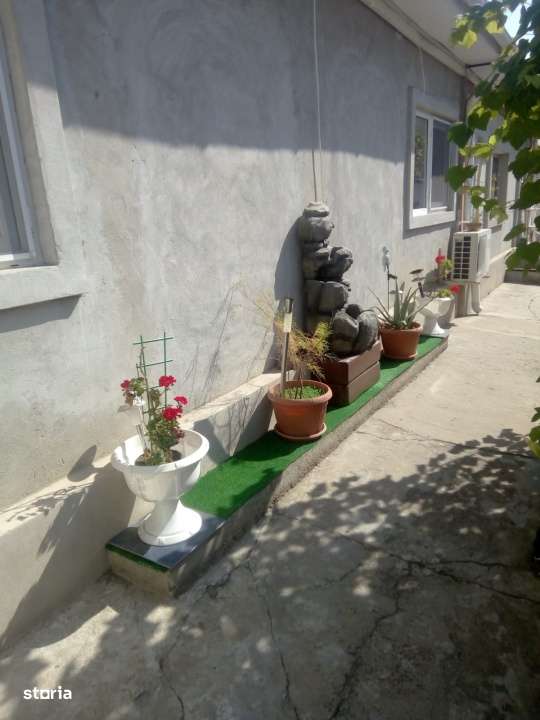 Casa in Coiciu 3 camere teren 265 - Imagine principală: 4/8