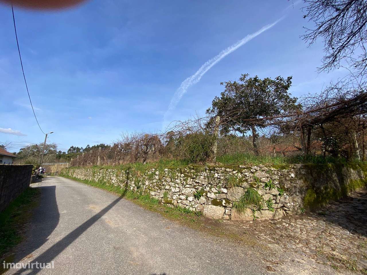 Quintinha com moradia em pedra para restauro com 2.000m2 de terreno. - Grande imagem: 4/19