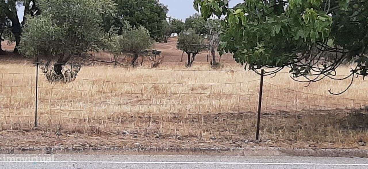 Terreno com Monte Alentejano-12