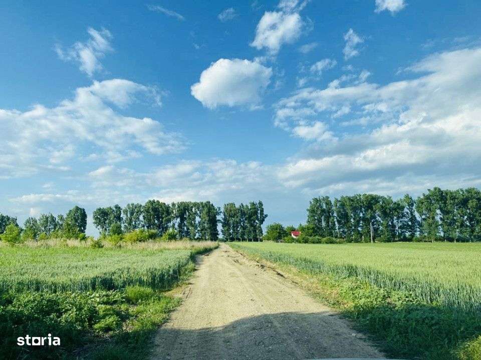 Teren rezidential langa lac Snagov in Silistea Snagovului iesire A3 - Imagine principală: 5/8