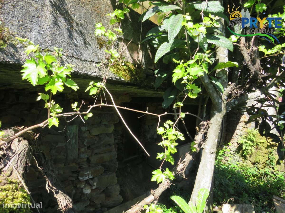 Duas moradias com potencial no Braçal – Proença-a-Nova-38