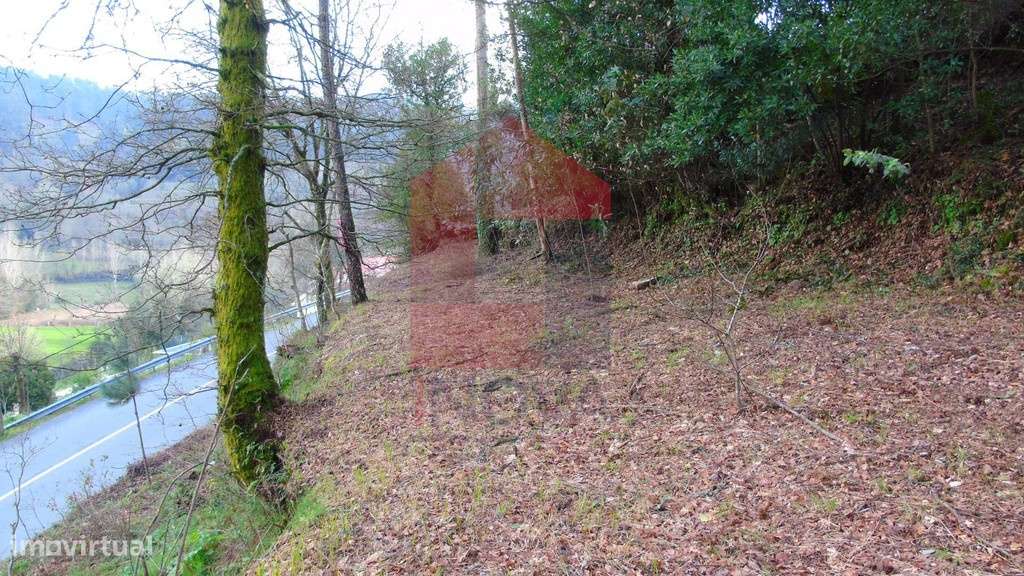 Vende-se Terreno, Pedregais - Grande imagem: 2/6