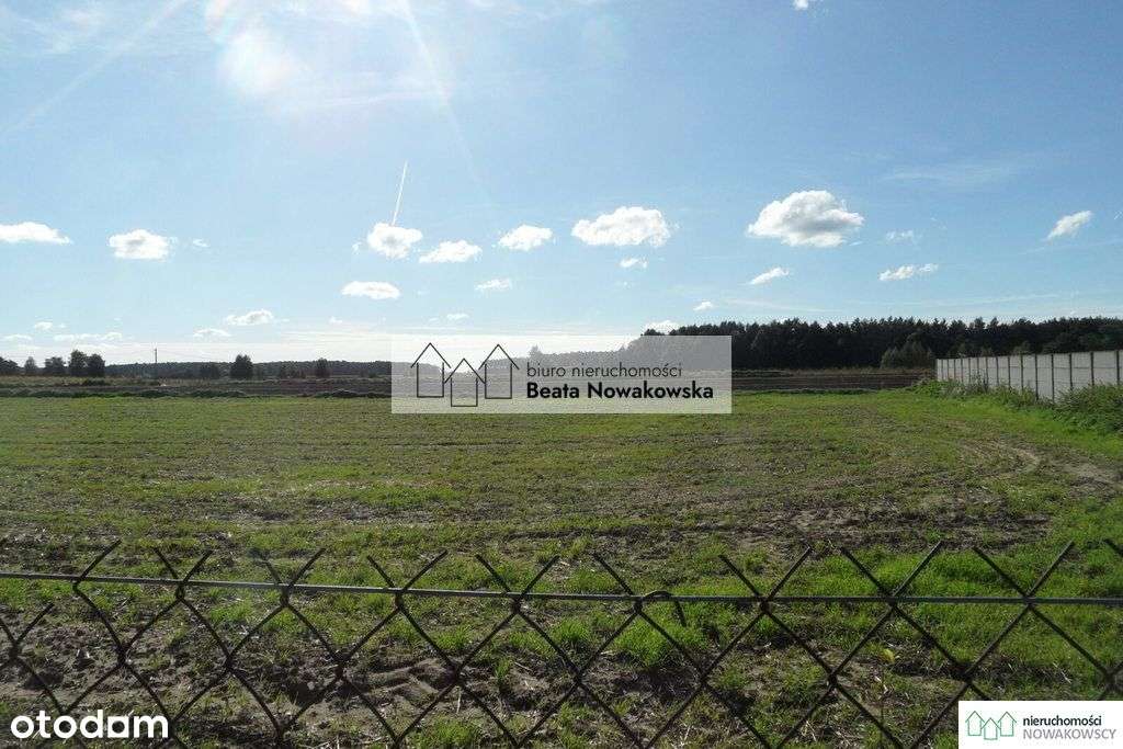 Działka, 7 591 m², Orkowo-1