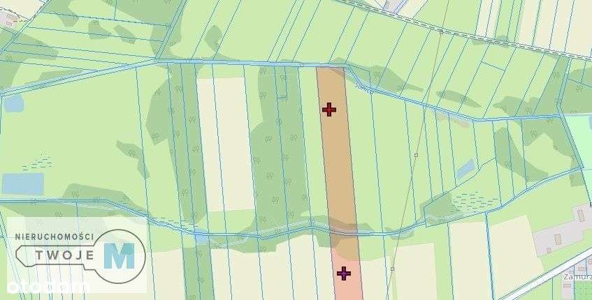 Działki rolne z lasem w Śladkowie Dużym-7