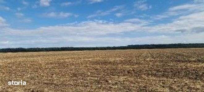 Teren extravilan Branesti, ID: R2649181 - Imagine principală: 1/6