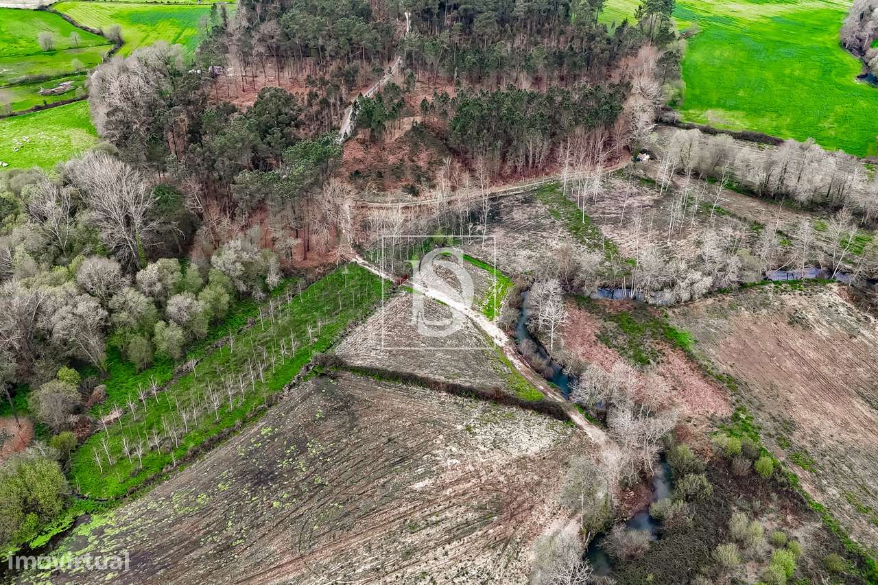 Terreno Rústico  Venda em Associação de freguesias do Vale do Neiva,Po-14