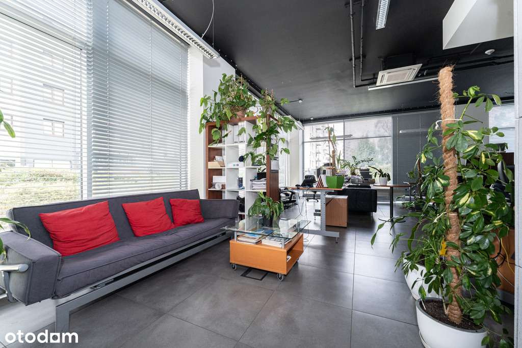 Duży lokal biurowo-usługowy w topowej lokalizacji - Pełny obrazek: 3/20