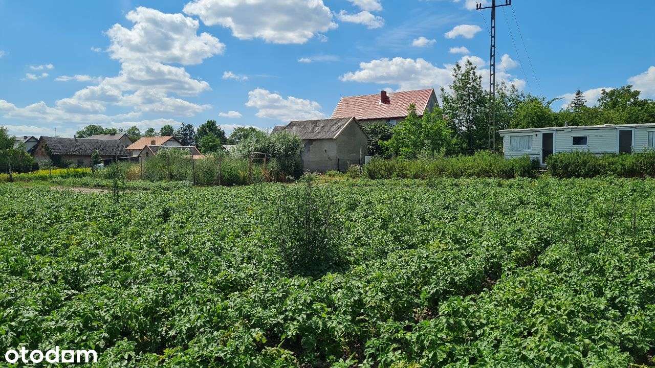Działka pod Twój dom i uprawę - Cedry Wielkie-3