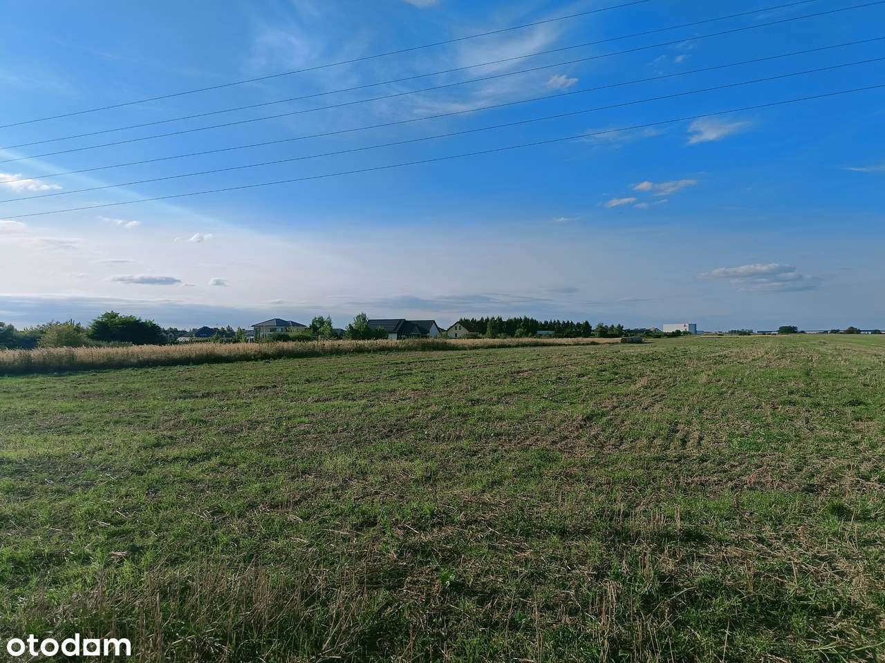 Lusówko - okolice planowanego zbiornika retencyjnego.-7