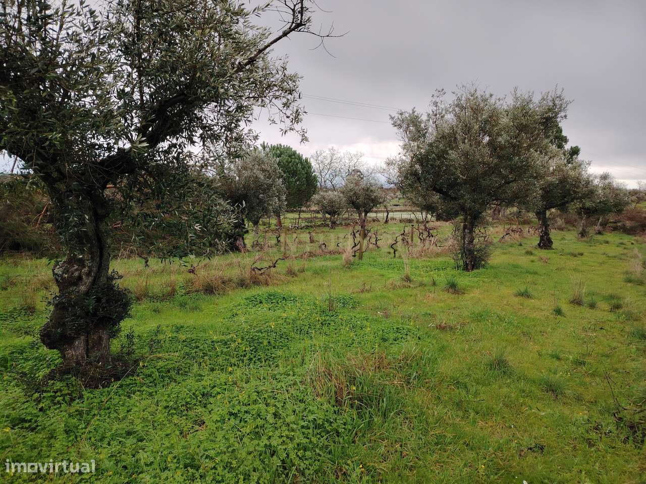 OPORTUNIDADE DE INVESTIMENTO ESTRATÉGICO- Terreno Urbano com 44.250 m²-11