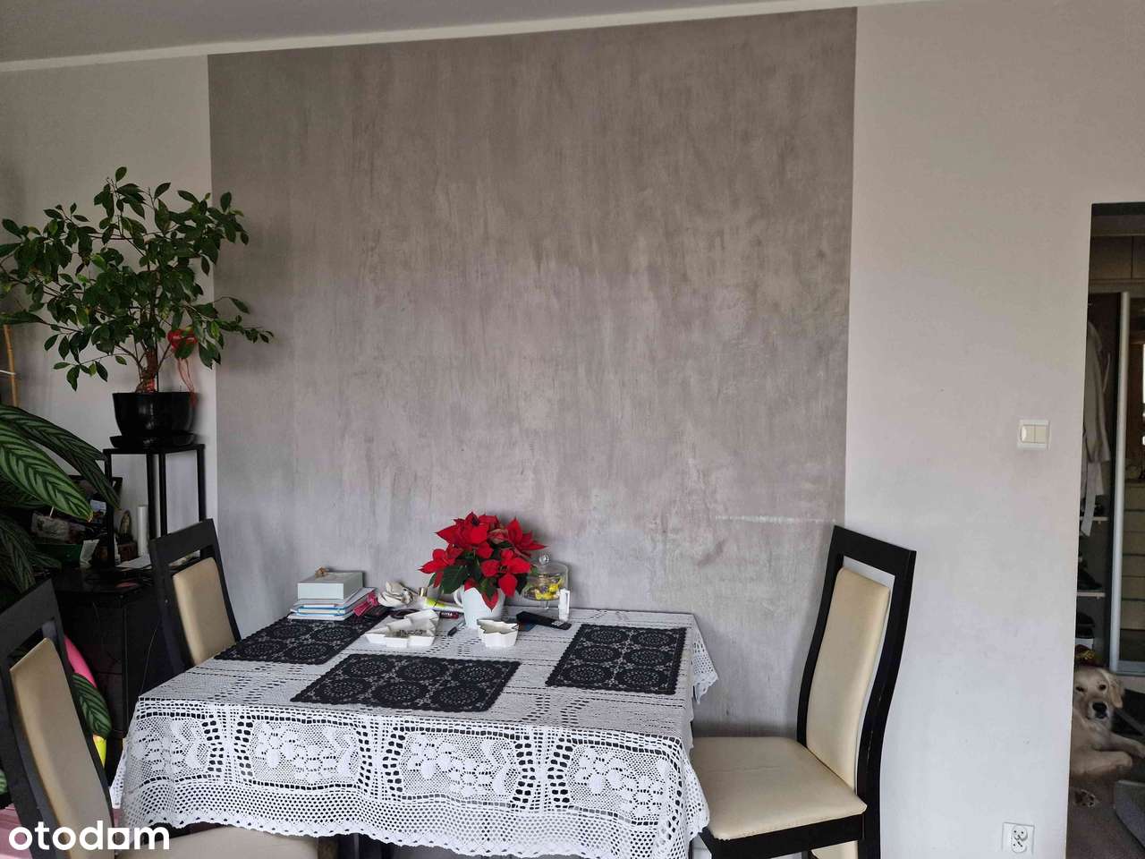 3-pokojowe mieszkanie z balkonem w Pabianicach - Pełny obrazek: 3/15