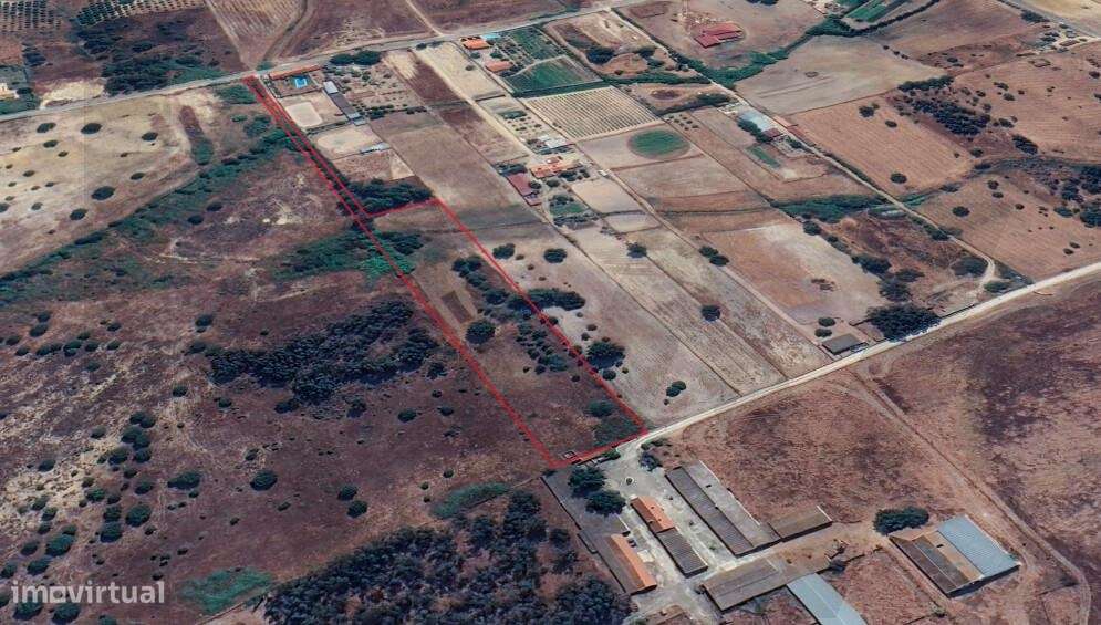 Terreno misto de 10.000m2 em Benavente (Herdade do Almada) - Grande imagem: 5/8