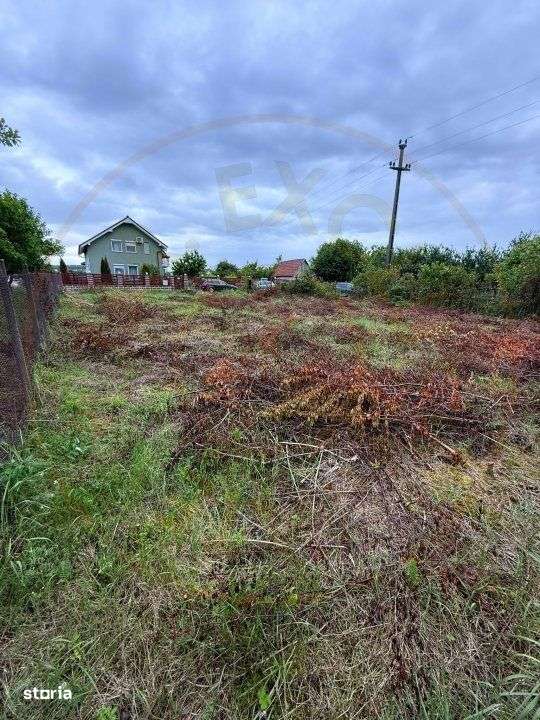 Teren Intravilan Padurea Noroieni - Imagine principală: 2/9