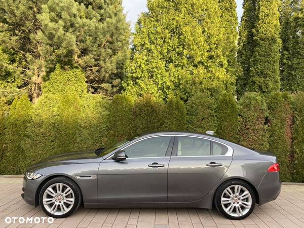 Jaguar XE - 5