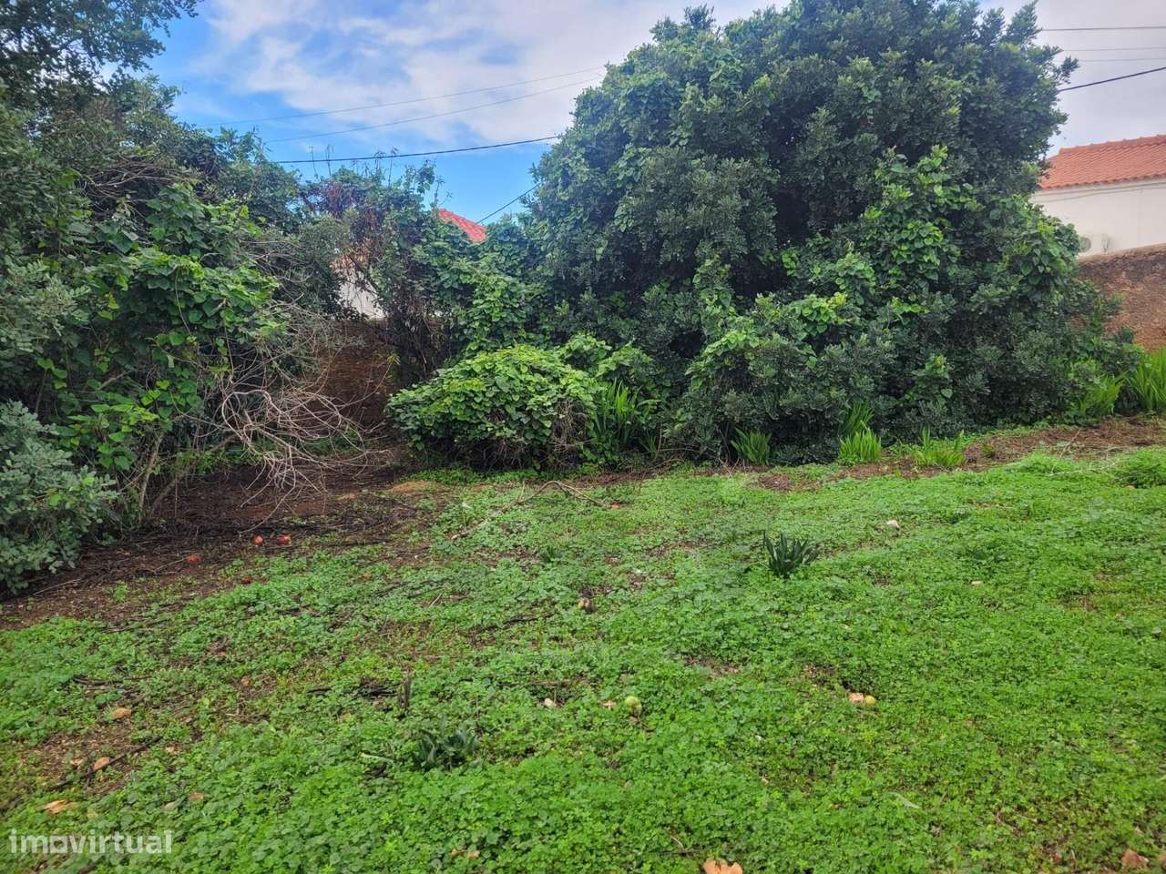 TERRENO URBANO COM 1500M2 EM TUNES - Grande imagem: 3/11