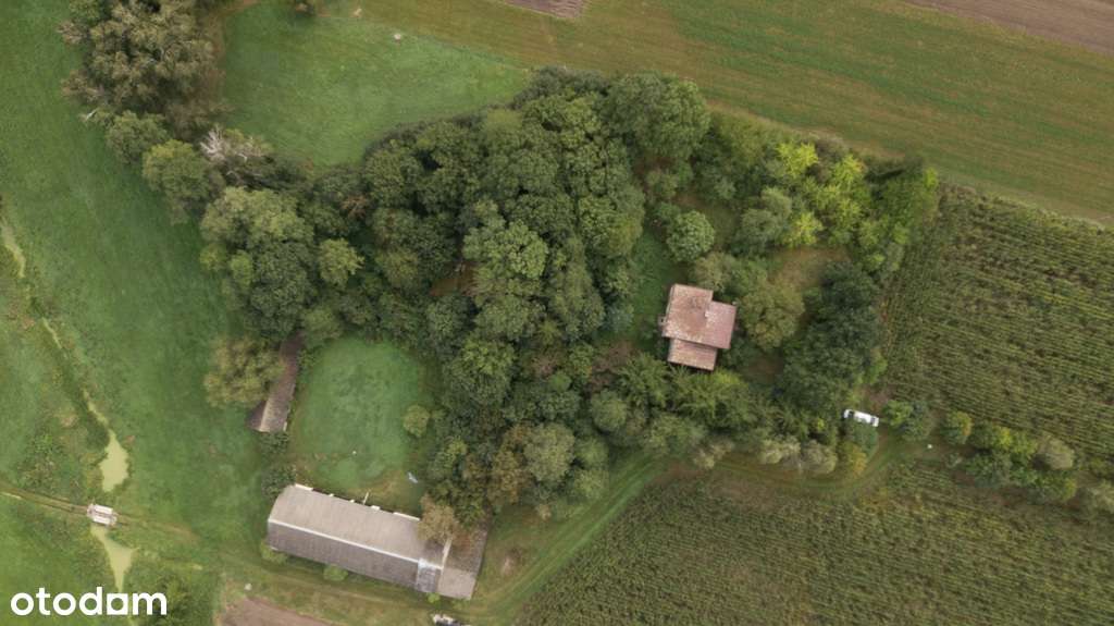 Gospodarstwo na sprzedaż 16,6 ha z zabudowaniami, - Pełny obrazek: 4/20